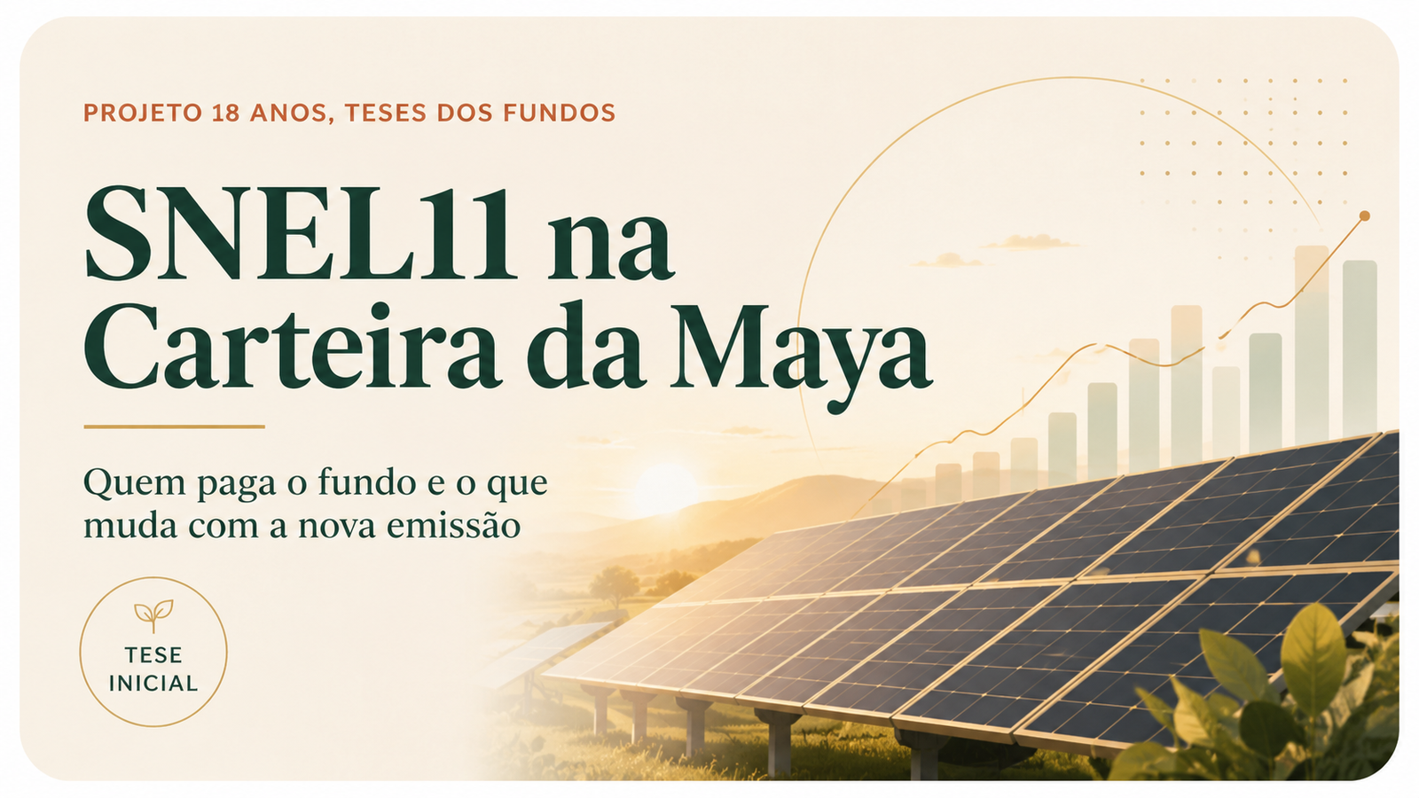 SNEL11 afinal quem paga o fundo e o que muda com a nova emissão